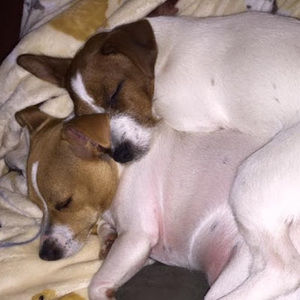 Meet your Posher, Deana